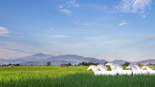 Landskap semula jadi dekat dengan resort