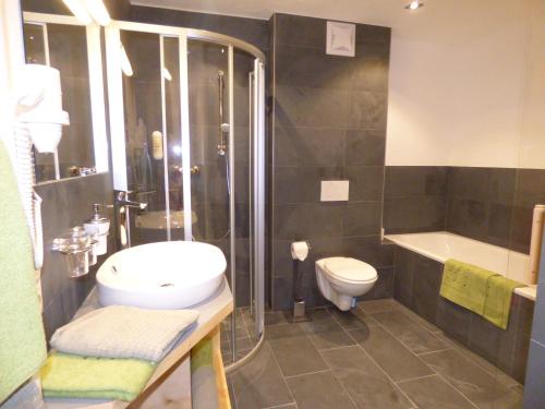 a bathroom with a shower and a toilet and a sink at Refugium Dolomiten & Chalet in Sillian