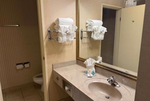 a bathroom with a sink and a mirror and a toilet at Wingate by Wyndham Livonia in Livonia