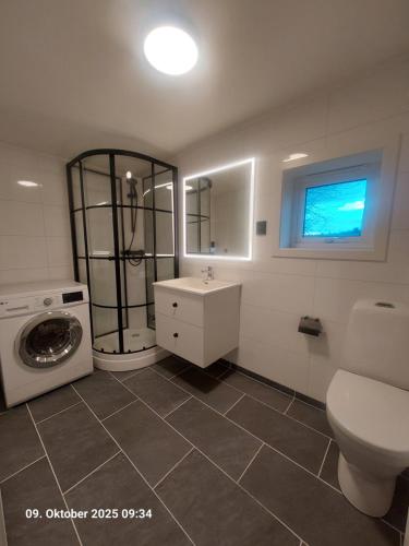 a bathroom with a toilet sink and a washing machine at Nordlys Apartment in Hamnvik