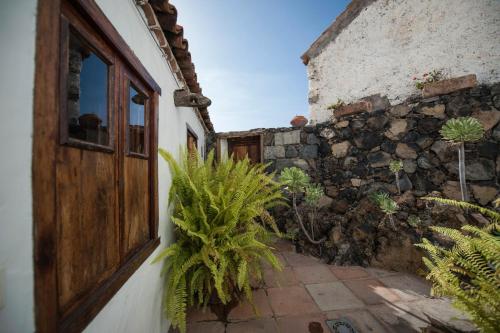 una entrada a un edificio con una puerta de madera y plantas en Casa Vidal, en Guía de Isora