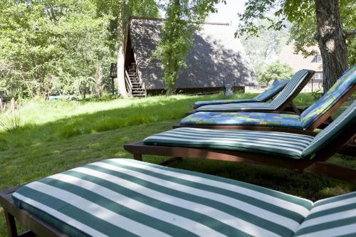 three blue and white chairs sitting in the grass at Gasthaus Dubkow Mühle in Leipe