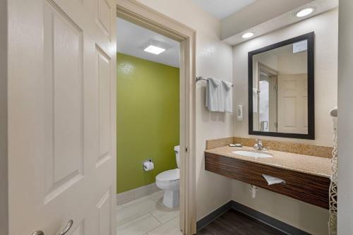 a bathroom with a sink and a toilet and a mirror at Sleep Inn near Busch Gardens - USF in Tampa