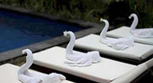 a group of white swans sitting on a table at Evita Villas in Ubud