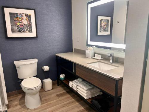 een badkamer met een wit toilet en een wastafel bij Cambria Hotel Northlake Conference Center - Roanoke in Northlake