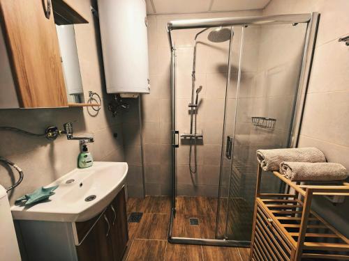 a bathroom with a shower and a sink at Nana 1 in Strumica