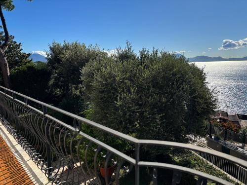 Charming Posillipo Sea View Ibiscus House