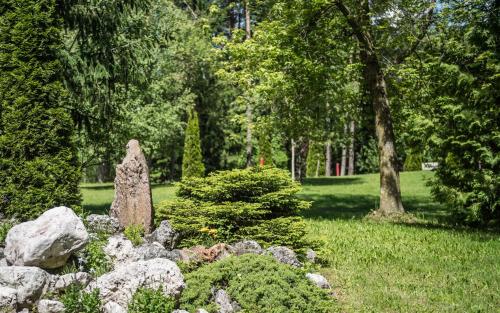 Zahrada ubytování Hotel Waldsee