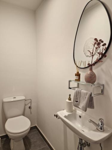 a bathroom with a white toilet and a mirror at Cosy Corner 4 in Nieuwpoort