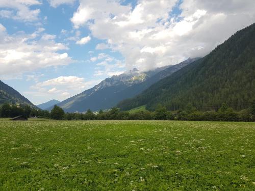 a large green field with mountains in the background at Griesshof in Neustift im Stubaital
