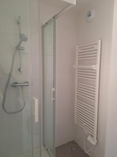 a shower in a bathroom with a glass shower stall at AquaLodge Vitalia in Aix-les-Bains