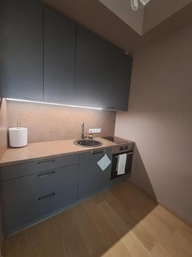 una cucina con un lavello e un piano di lavoro di Riverside Retreat - Cozy Central Stay in Pärnu a Pärnu