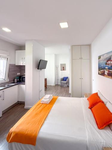 Comodo y agradable estudio en Madrid centro A6