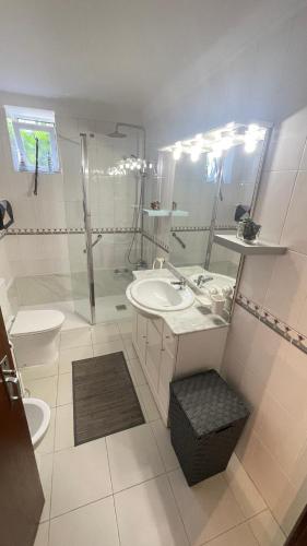 a bathroom with a sink and a shower and a toilet at CASA da LINHA in Deveza