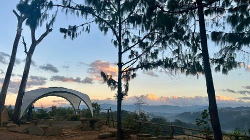 a view of the mountains through the trees at sunset at Campsite Yedikha in Viswema