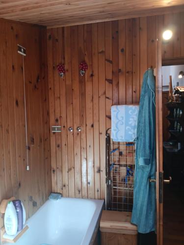 a room with wooden walls and a tub in a room at Appartamento Valle di Cadore in Valle di Cadore
