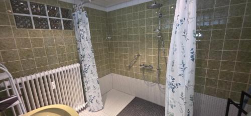 a bathroom with a shower and a toilet in it at Ferienwohnung FeLu in Wadgassen