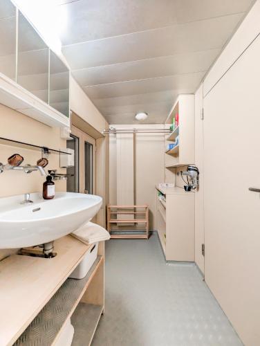 Vannituba majutusasutuses Appart cozy vue montagne, jardin 3 min de Villars