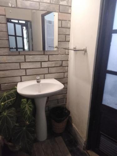 a bathroom with a white sink and a mirror at Upavan Homestay in Lataguri