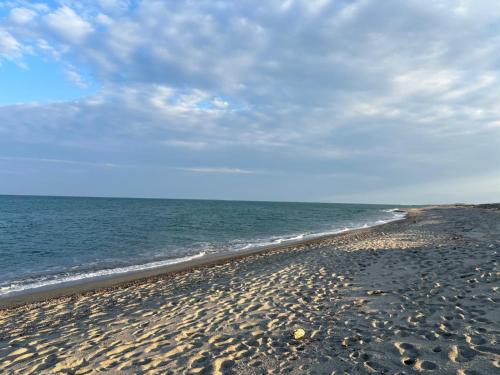 a sandy beach with the ocean on a cloudy day at Mobil-home les pieds dans l'eau camping LES DUNES 5"'" in Torreilles