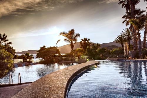 a swimming pool with palm trees at Hotel Stella Maris in Villasimius