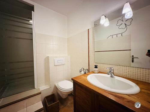 un bagno con lavandino, WC e specchio di Le Lion de Venise a Saulon-la-Rue