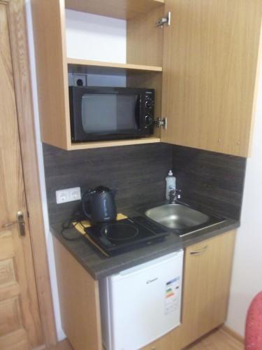 een kleine keuken met een spoelbak en een magnetron bij Deima in Nida