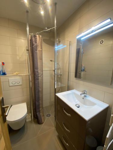 un bagno con wc, lavandino e doccia di Florymar Simon a La Clusaz