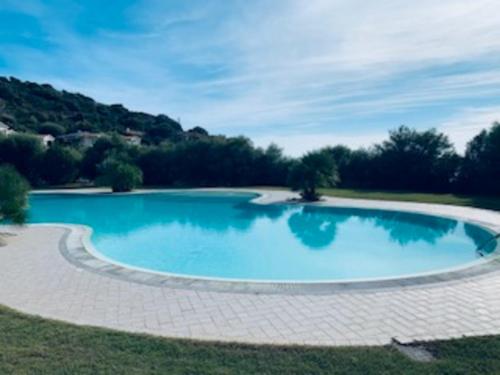 a large blue swimming pool in the grass at Villa Daisy in Terra Mala