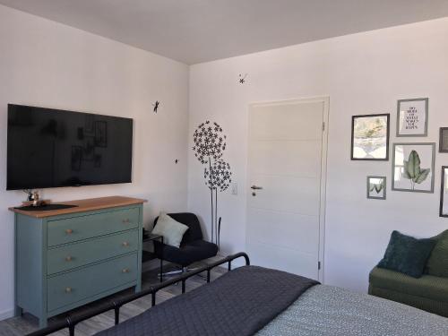 Μια τηλεόραση ή/και κέντρο ψυχαγωγίας στο Ferienhaus Wasserkunst am Butterberg - Bohlenmoor