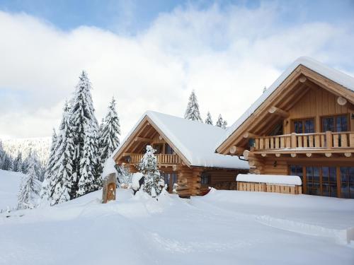 a log cabin in the snow with trees at Almzauber Chalets - Haus Enzian inkl Infrarotliegen in Hochrindl