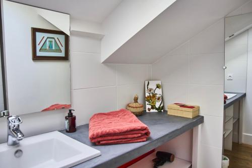 a bathroom with a sink and a counter with a sink at La Villa des Charmilles in Vernoux-en-Vivarais