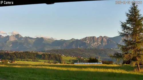 a view of a field with mountains in the background at Bachledowy Wierch in Czerwienne