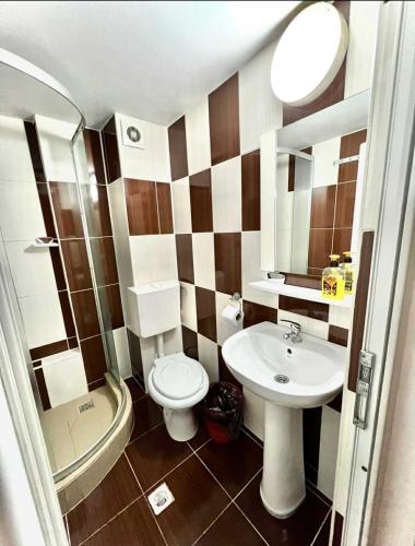 a bathroom with a sink and a toilet and a mirror at Sofia in Călăraşi