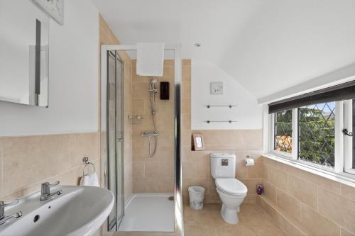 a bathroom with a toilet and a sink and a shower at Greyhound Country Inn in Honiton