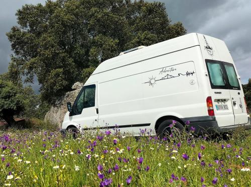 una camioneta blanca estacionada en un campo de flores en Descubre Tenerife en furgoneta camper, en Los Abrigos