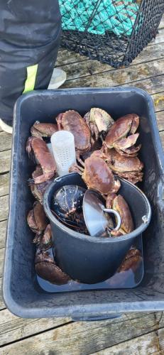 Jídlo v prázdninového domu nebo okolí