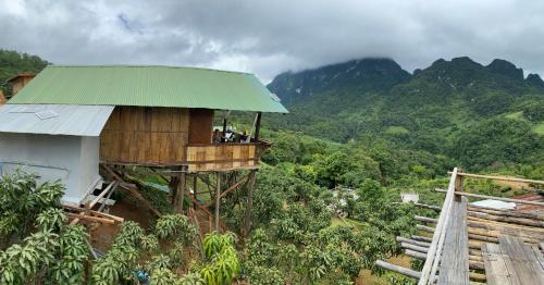 a tree house with a green roof on a mountain at บ้านข้างดอยเพียงดาว ลุงดำ in Ban Tham