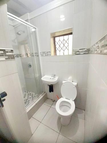 a bathroom with a toilet and a shower and a sink at The Amazing Amazon Guesthouse in KwaMakhutha