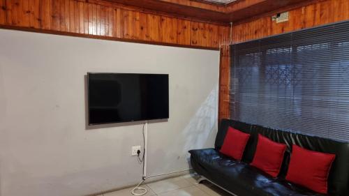 にあるThe Amazing Amazon Guesthouseの赤い枕と薄型テレビが付いた黒い革張りのソファ
