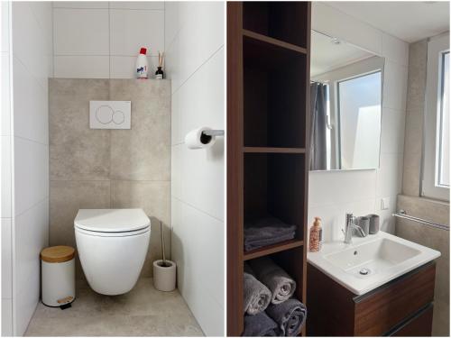a bathroom with a toilet and a sink at Oudegracht Alkmaar in Alkmaar