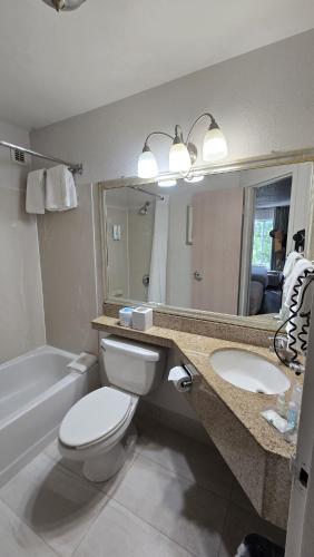 a bathroom with a toilet and a sink and a mirror at Quality Inn Newark - Wilmington in Newark