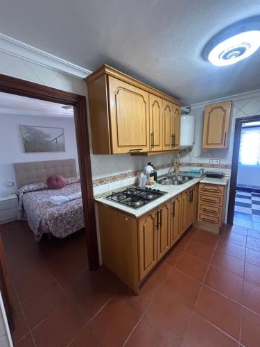 サアラ・デ・ラ・シエラにあるLa casita de abajoのキッチン(木製キャビネット、シンク、ベッド付)