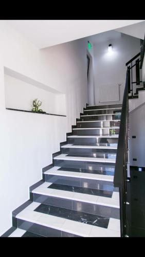 Ảnh trong thư viện ảnh của White House ở Făgăraş