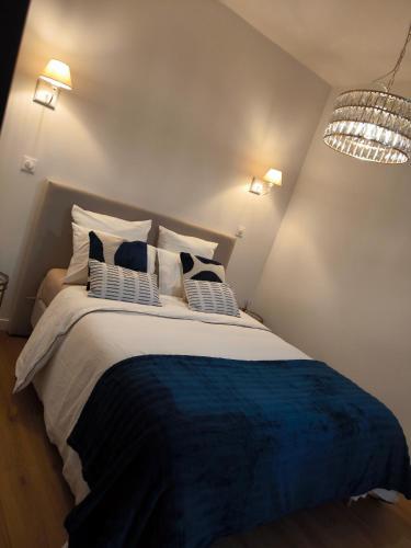 een slaapkamer met een groot bed met twee kussens bij "LE NID de SKYLAR" centre ville in Reims