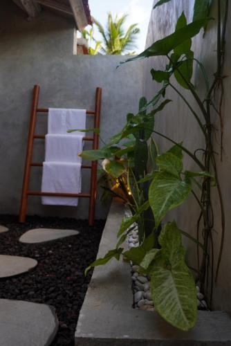 Fotografie z fotogalerie ubytování QINARA, Guesthouse Close to Diamond Beach, Nusa Penida v destinaci Polilit