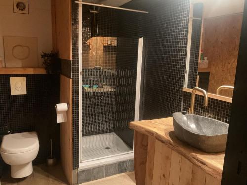 a bathroom with a shower and a sink and a toilet at La Belle vue in Durbuy