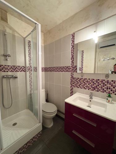 a bathroom with a toilet and a sink and a shower at Le Balcon du Bois in Le Dévoluy