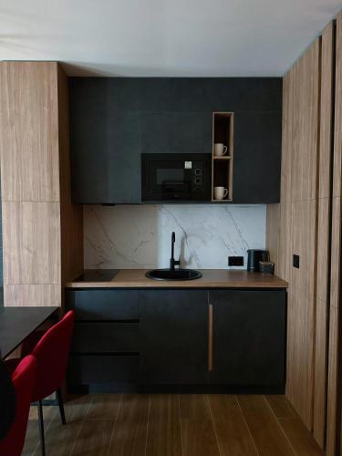 une cuisine avec un évier et un comptoir dans l'établissement Tara Panorama Apartment, à Kremna