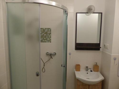 Retro Apartment في برزنو: حمام مع دش ومغسلة